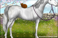 Horse Color:Gray White Spotted Grullo Pearl Mushroom Brindle 