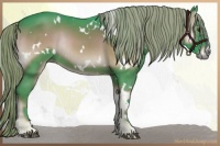 Horse Color:Watercolor White Spotted Liver Red Onyx Rabicano 