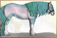 Horse Color:Watercolor White Spotted Liver Red Onyx Roan