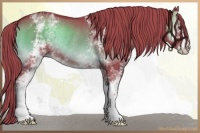 Horse Color:Watercolor White Spotted Liver Red Onyx Rabicano