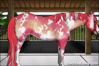 Horse Color:Watercolor White Spotted Liver Red Onyx Rabicano 