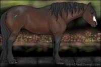 Horse Color:Brown 