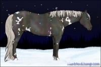 Horse Color:White Spotted Midnight Chocolate Palomino Pearl Dun