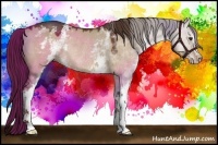 Horse Color:White Spotted Liver Red Dun Sabino Rabicano 