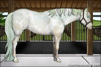 Horse Color:Watercolor White Spotted Chocolate Palomino Ice Pearl Dun