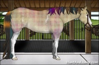 Horse Color:Plaid  White Spotted Liver Red Dun Rabicano Brindle 