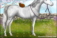Horse Color:Gray White Spotted Chocolate Palomino Pearl Dun Mushroom Splash Rabicano Brindle 