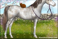 Horse Color:White Spotted Brown Ice Pearl Dun Mushroom Sabino Rabicano