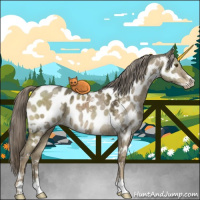 Horse Color:White Spotted Chocolate Palomino Ice Dun Mushroom Sabino Appaloosa Rabicano Brindle 