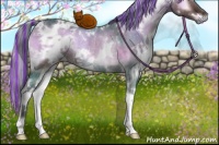 Horse Color:Painted White Spotted Silver Brown Onyx Rabicano 
