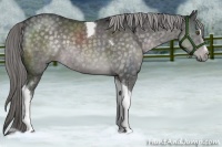 Horse Color:Platinum Chocolate Palomino Sabino Tobiano