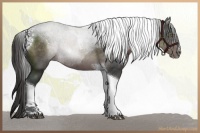 Horse Color:Platinum Liver Chestnut Sabino Tobiano