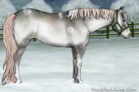 Horse Color:Platinum White Spotted Chocolate Palomino Onyx Tobiano 