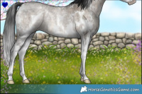 Horse Color:White Spotted Brown Ice Dun Sabino Splash Brindle 