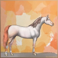 Horse Color:Watercolor Liver Red Dun Roan Sabino