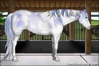 Horse Color:Watercolor White Spotted Liver Red Dun Pearl Sabino Splash Rabicano 
