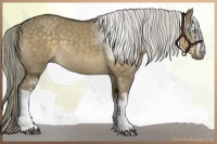 Horse Color:White Spotted Chocolate Palomino Dun Mushroom Sabino 