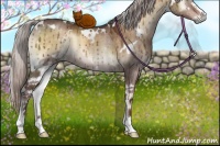 Horse Color:White Spotted Chocolate Silver Brown Onyx Sabino Brindle 