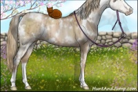 Horse Color:White Spotted Liver Red Dun Pearl Sabino Brindle 