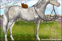 Horse Color:White Spotted Liver Red Dun Ice Pearl Mushroom Brindle 