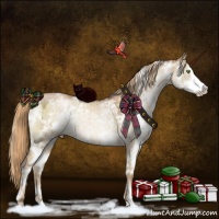 Horse Color:White Spotted Liver Red Dun Pearl Splash Rabicano Brindle 