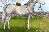 Horse Color:White Spotted Liver Red Dun Ice Pearl Mushroom Rabicano Brindle