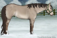 Horse Color:Liver Red Dun Roan Sabino