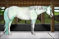 Horse Color:Watercolor White Spotted Chocolate Palomino Pearl Onyx Tobiano 
