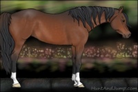 Horse Color:Brown 