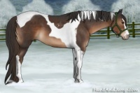 Horse Color:Liver Chestnut Sabino Tobiano 