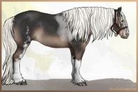 Horse Color:White Spotted Liver Chestnut Mushroom Sabino Rabicano