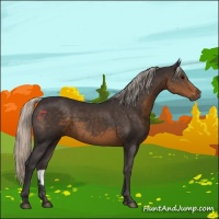Horse Color:Silver Smoky Black 