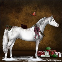 Horse Color:White Spotted Chocolate Silver Smoky Grullo Chinchilla Ice Onyx Sabino Brindle 