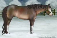 Horse Color:White Spotted Liver Chestnut Rabicano 