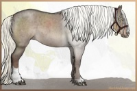 Horse Color:Liver Red Dun Roan Mushroom Sabino Brindle