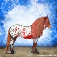 Horse Color:Liver Chestnut Ice Blanket Rabicano 