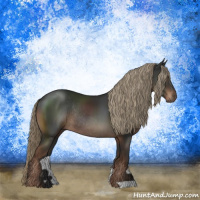Horse Color:Liver Chestnut Rabicano