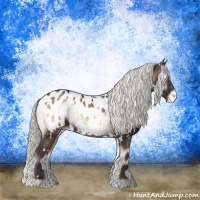 Horse Color:White Spotted Liver Red Onyx Mushroom Appaloosa 