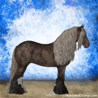 Horse Color:Liver Chestnut Ice Mushroom Rabicano 
