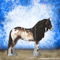 Horse Color:White Spotted Liver Red Onyx Rabicano 