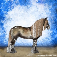 Horse Color:White Spotted Liver Red Onyx Ice Rabicano 