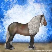 Horse Color:Liver Chestnut Mushroom Rabicano