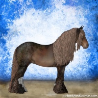 Horse Color:Liver Chestnut Ice Rabicano