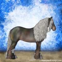 Horse Color:Liver Chestnut Mushroom Rabicano
