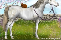 Horse Color:White Spotted Smoky Grullo Pearl Mushroom Splash Frame Brindle