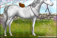 Horse Color:Gray Platinum White Spotted Brown Pearl Dun Mushroom Frame Brindle 