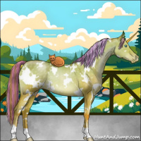 Horse Color:Painted White Spotted Buckskin Pearl Dun Rabicano 