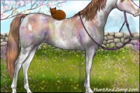 Horse Color:Nacre Plaid  White Spotted Buckskin Pearl Dun Sabino Rabicano Brindle 