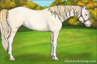 Horse Color:Buckskin Roan Pearl and Buckskin Roan Pearl Splash