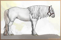 Horse Color:Gray Chocolate Palomino Tobiano 